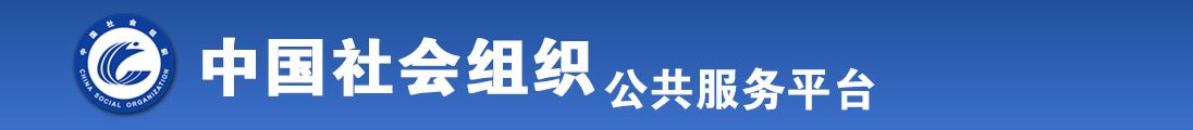 插进去刺激啊啊啊在线网站全国社会组织信息查询